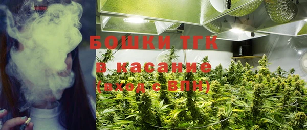 ГАЛЛЮЦИНОГЕННЫЕ ГРИБЫ Горнозаводск